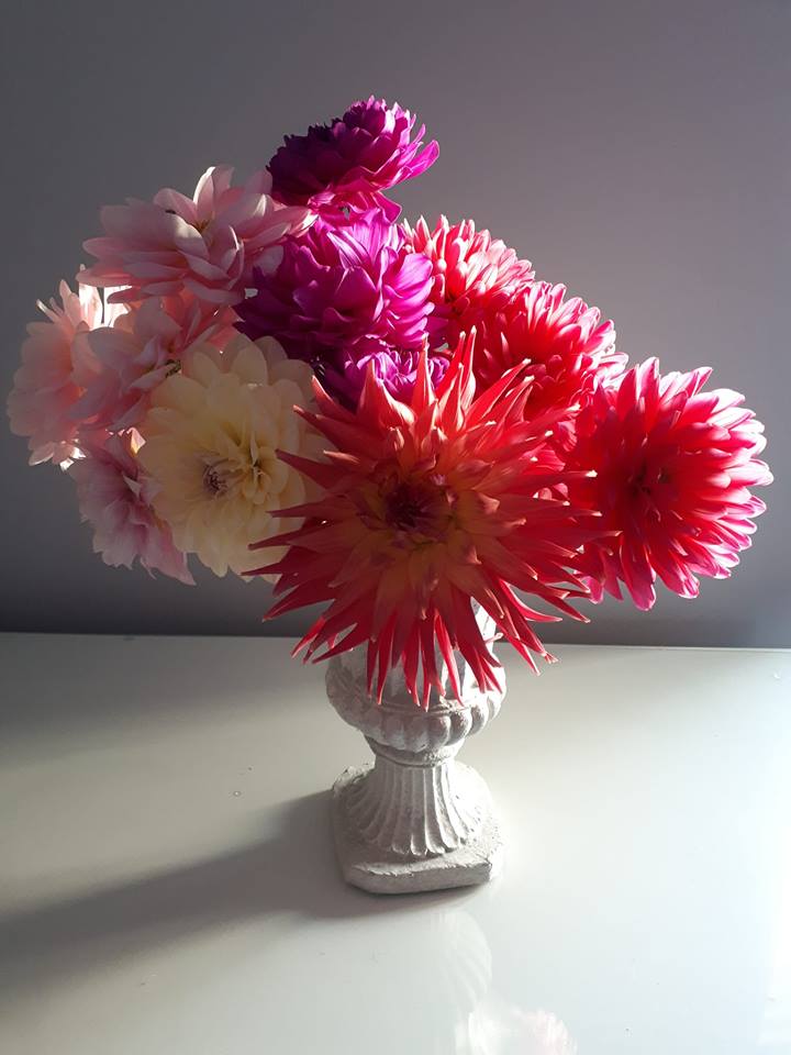 42520479_2024103154320693_9034055539213991936_n