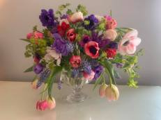 56885214_2311029858961353_9039497176878678016_n